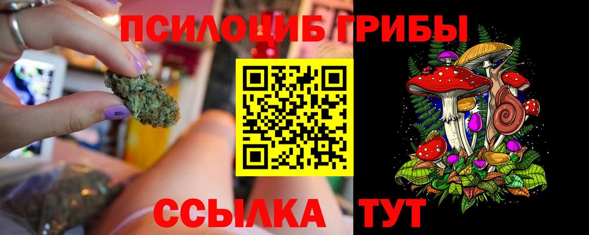 Каменск-Шахтинский  наркошоп  Вход с VPN  Псилоцибиновые грибы Magic Shrooms 